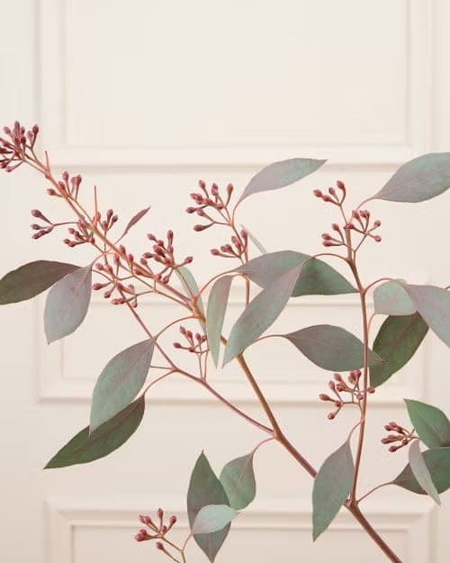 Eucalyptus, one of the stems in the Lake Como bouquet