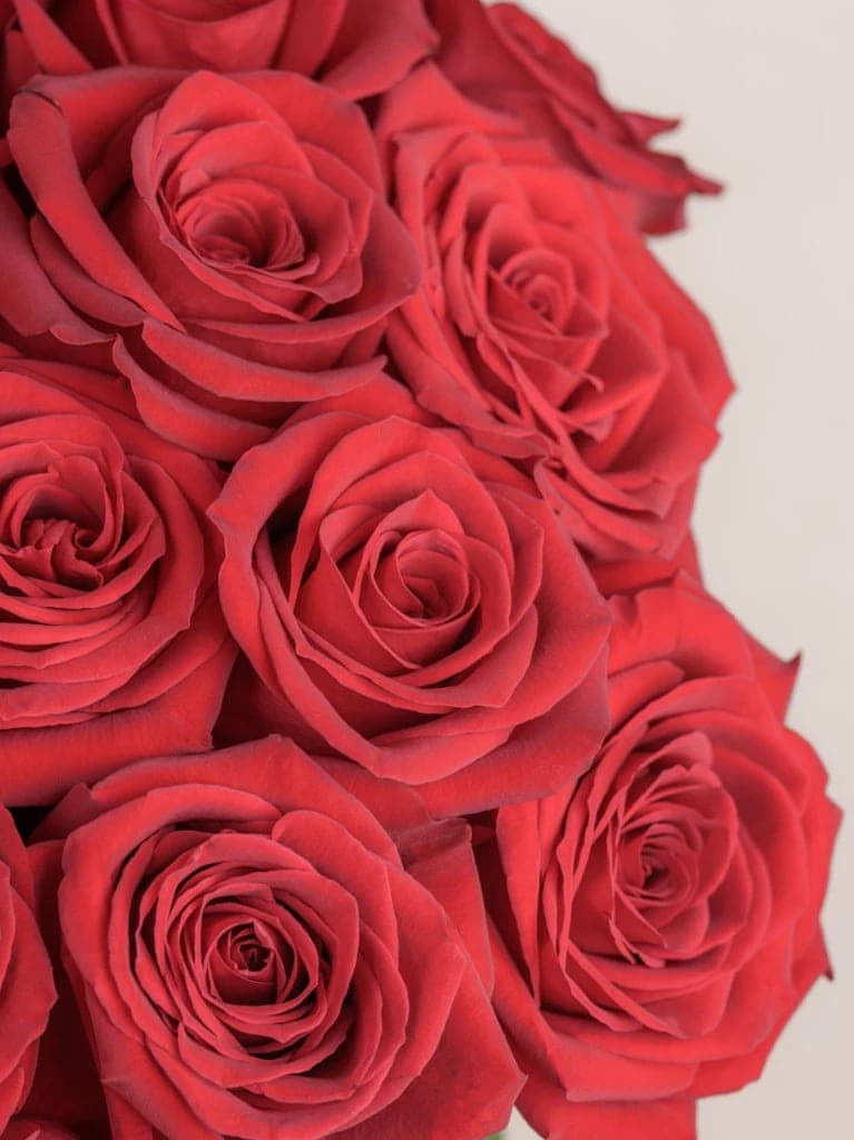 Amour thumbnail 6